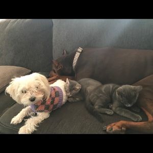 Meet your Posher, Denise